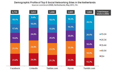 Demografisch Gebruikersprofiel Sociale Netwerken
